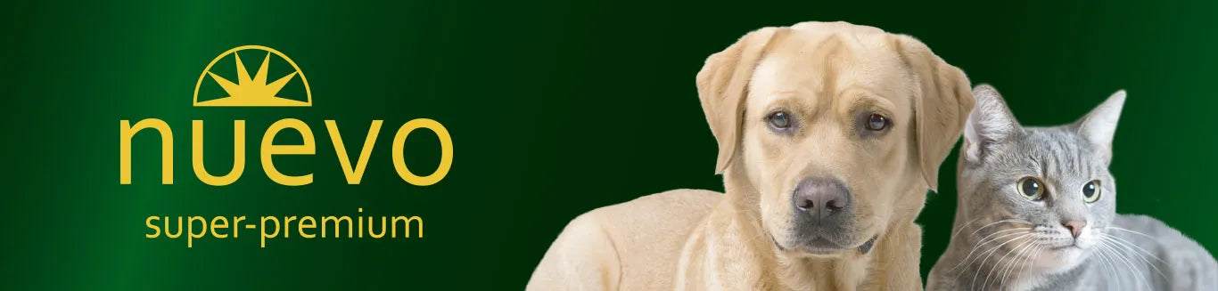 Nuevo Dog