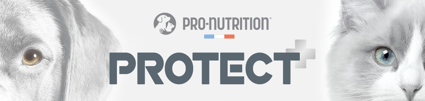 Κλινική Ξηρά τροφή Γάτας