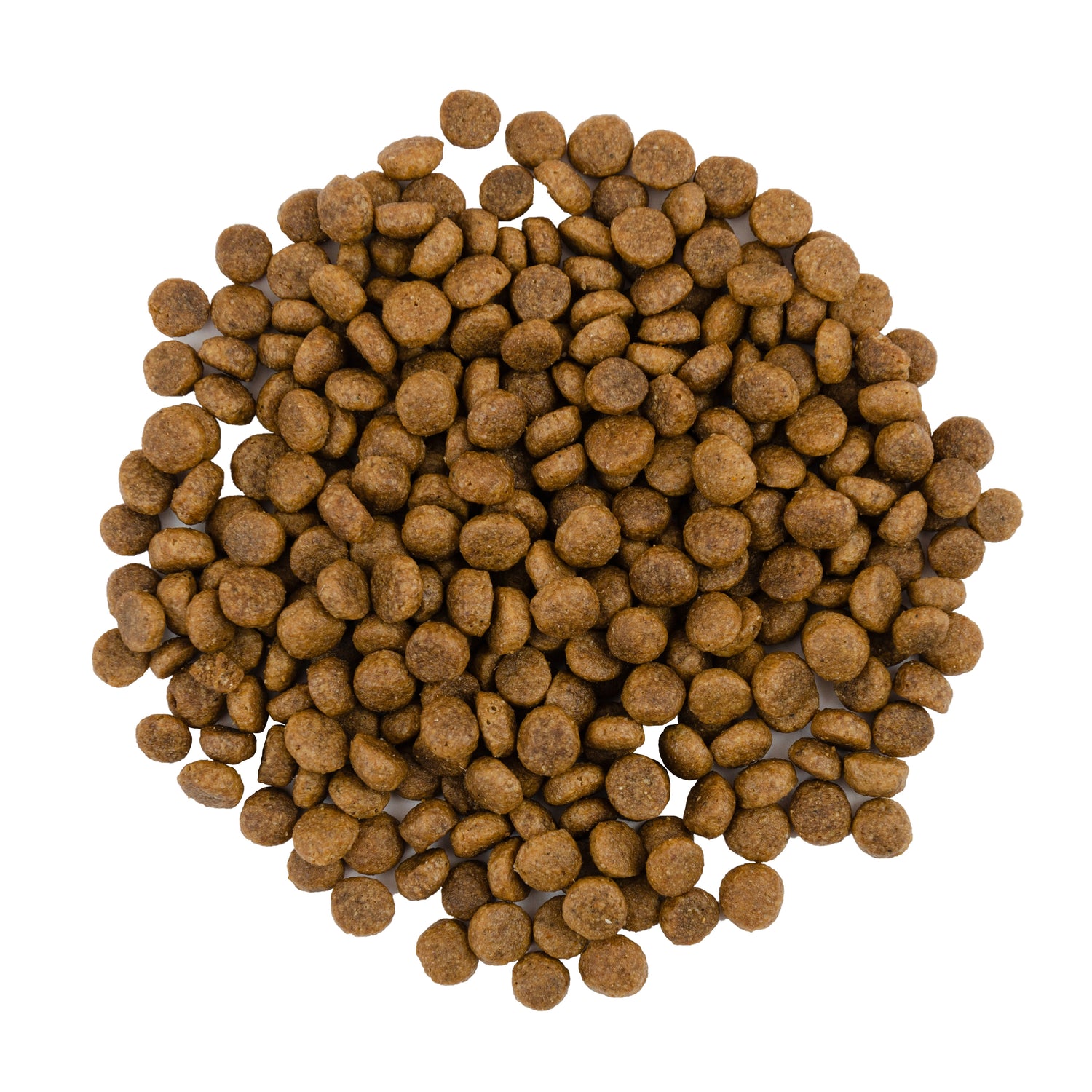 Savory Cat Dry Food With Turkey & Duck