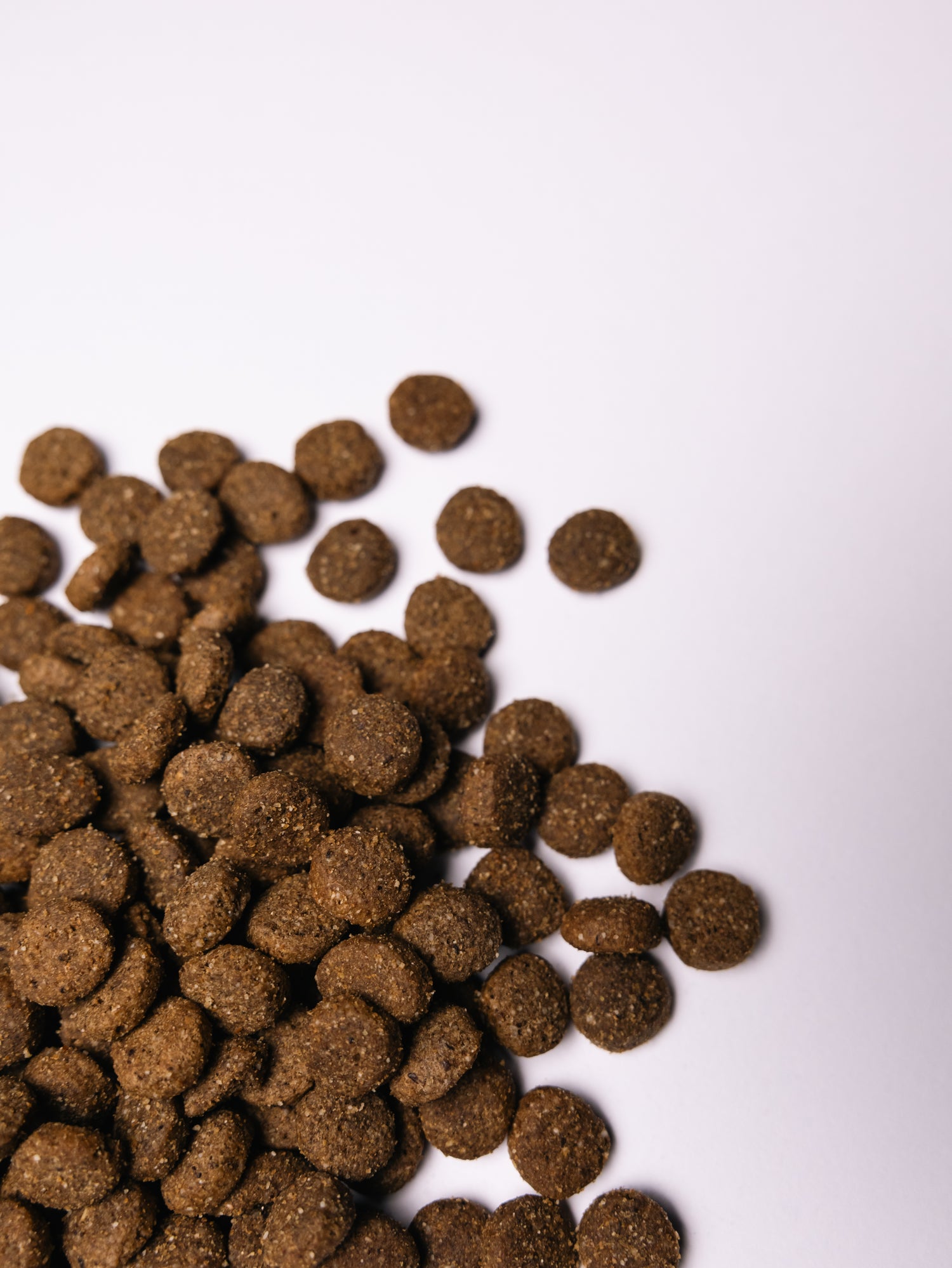 Savory Κουτάβια Μεγάλων φυλών με Γαλοπούλα και Κοτόπουλο