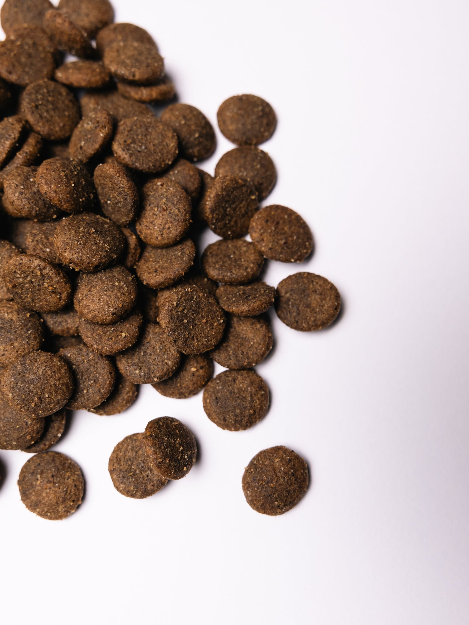 Savory Adult Μεγάλων Φυλών με Γαλοπούλα και Αρνί