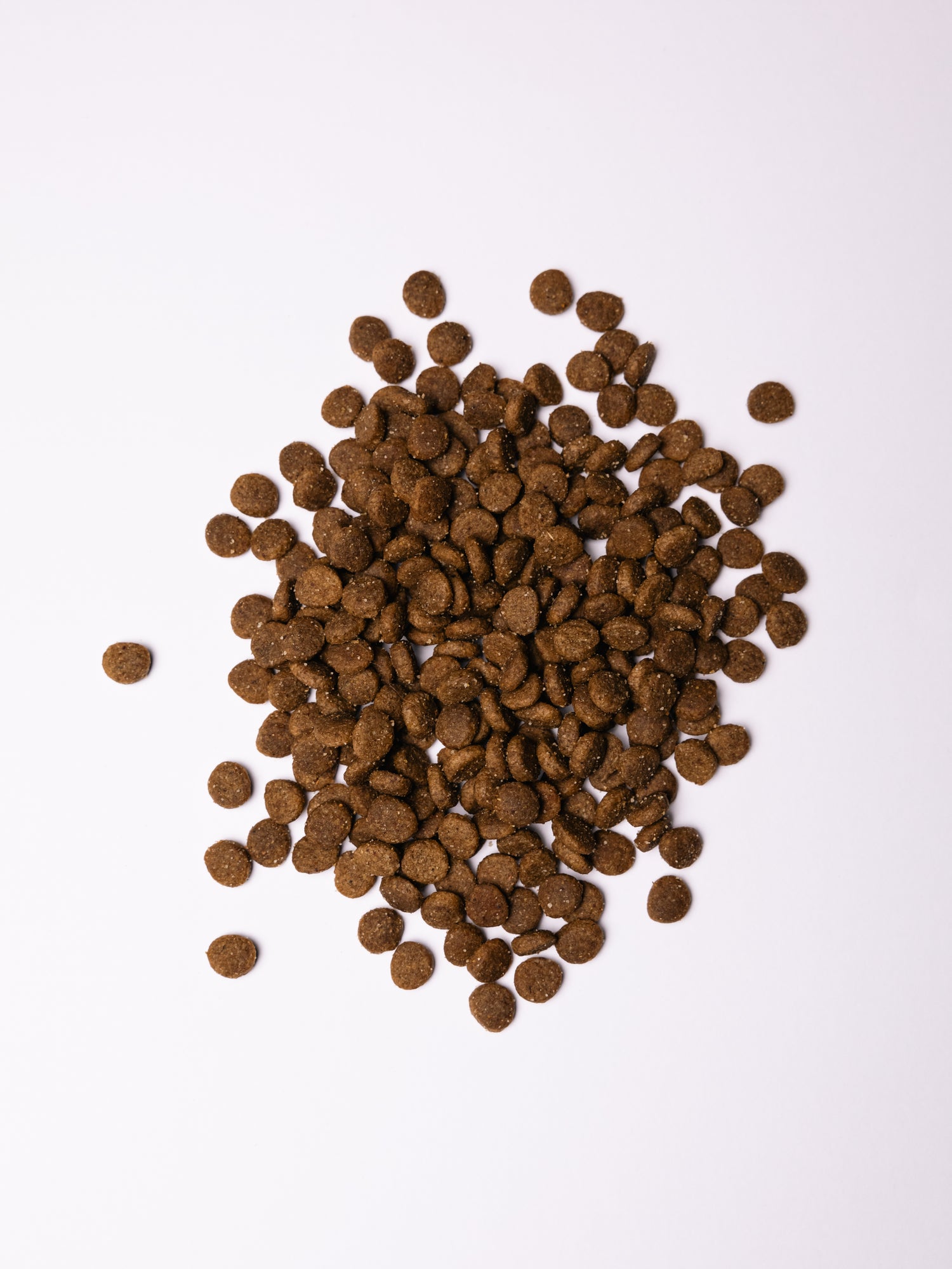 Savory Puppy με γαλοπούλα και κοτόπουλο για κουτάβια όλων των φυλών