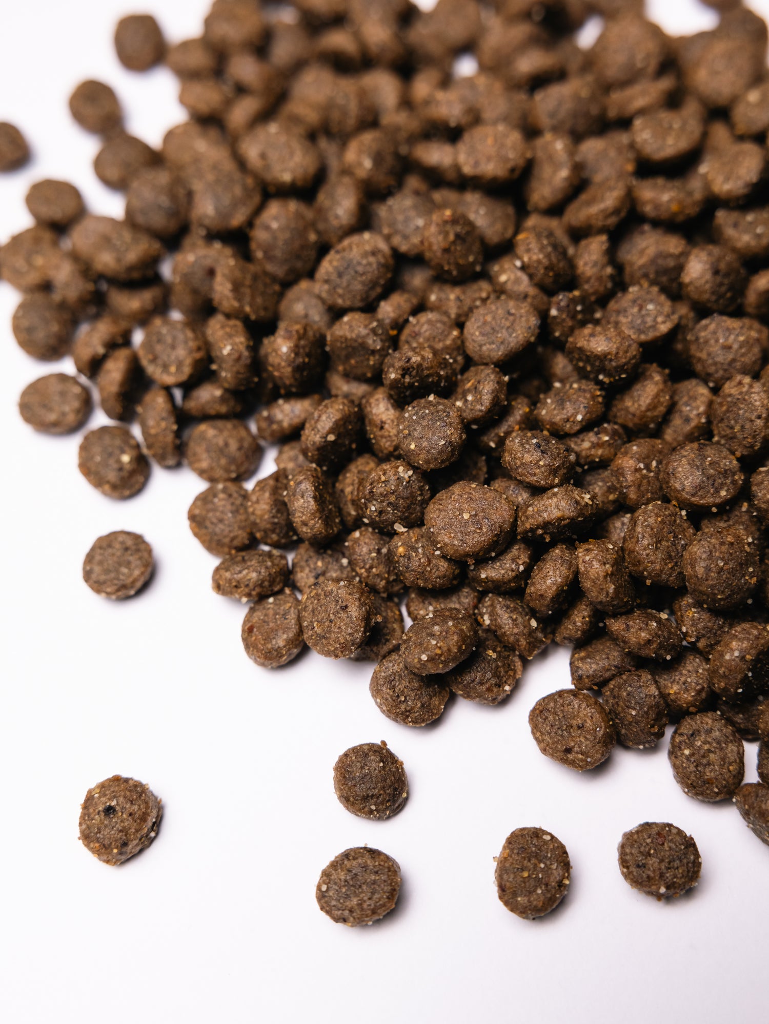 Savory Adult Μικρών Φυλών με Αρνί