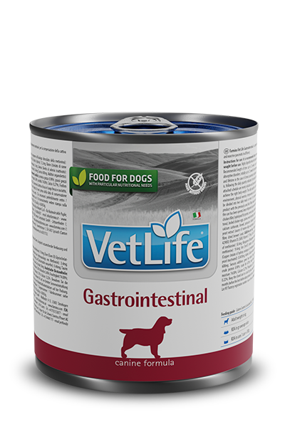 VetLife Dog Gastrointestinal 300g