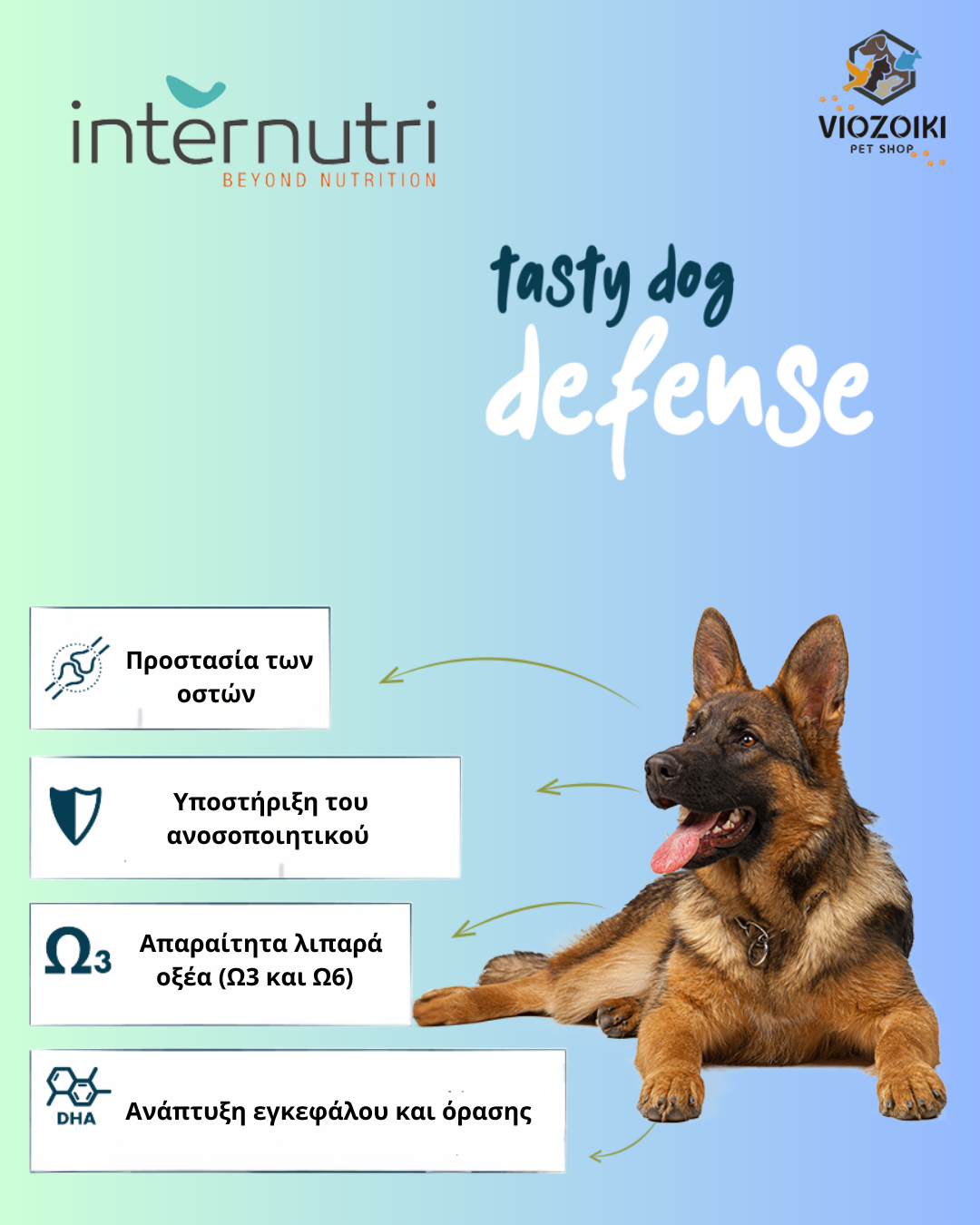Internutri Tasty Dog Defense