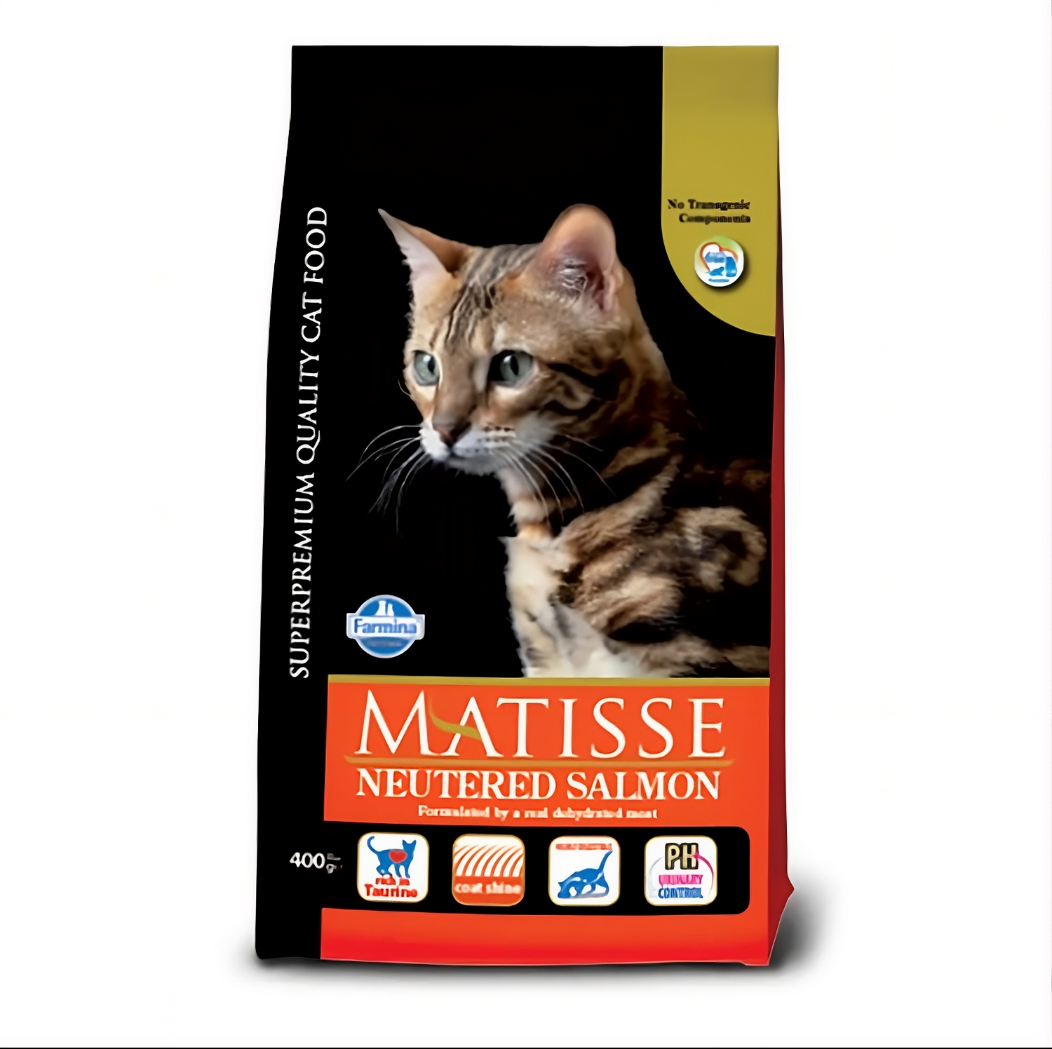 Matisse Neutered