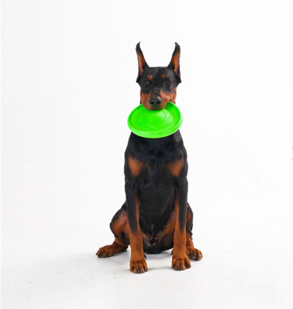 COLLAR Flyber Πράσινος Ιπτάμενος Δίσκος Σκύλου 22cm