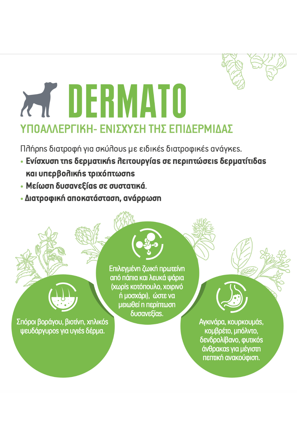 Pro Nutrition Dog Derma 2kg