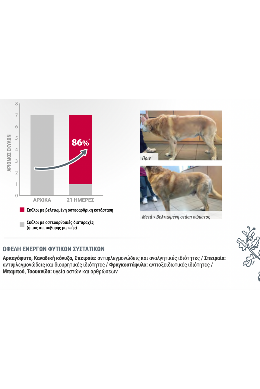 Pro Nutrition Dog Osteo 2kg