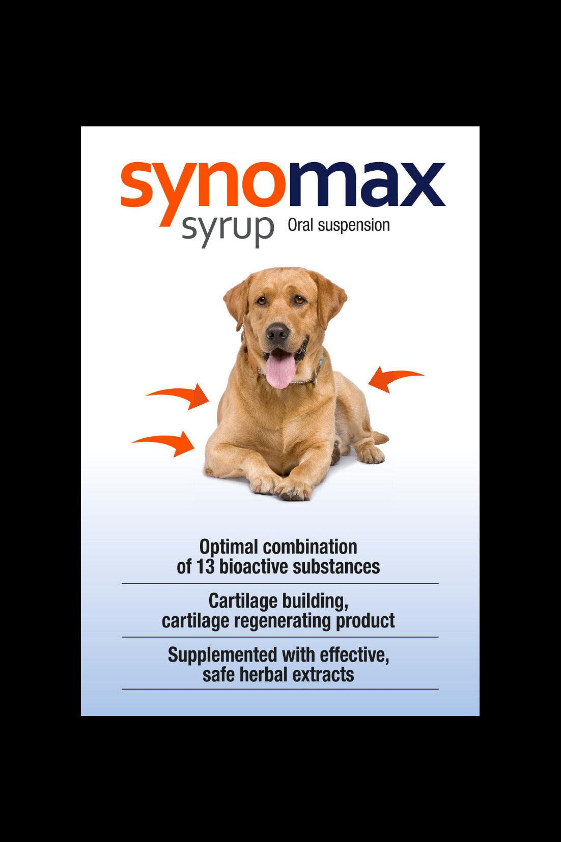 Synomax Syrup