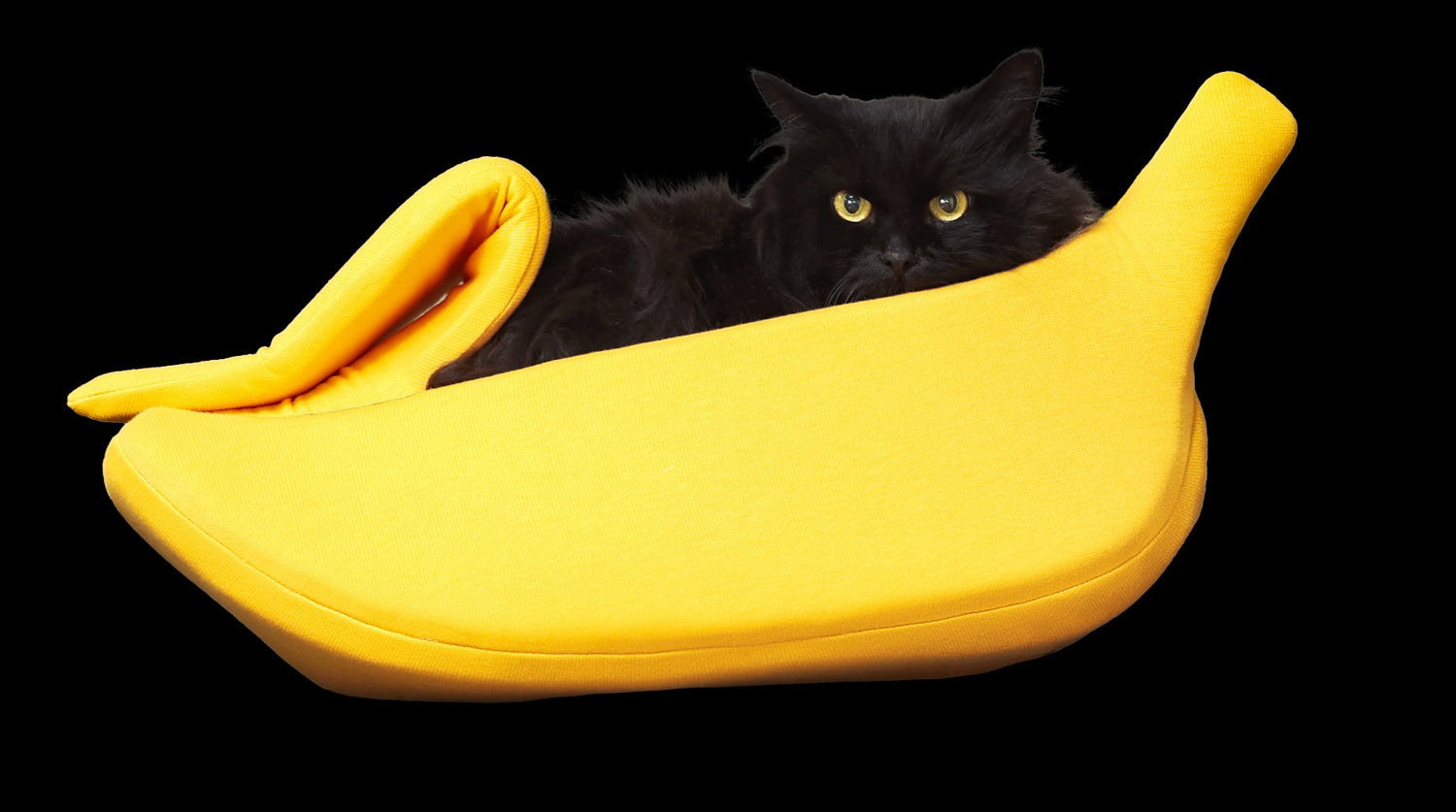 Viozoiki Collection Banana