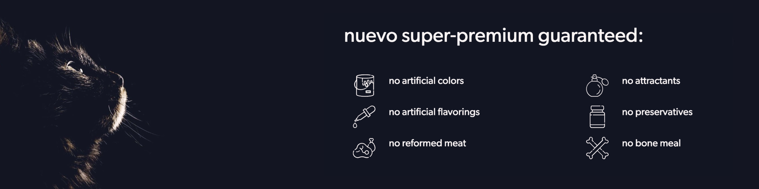 Nuevo Cat