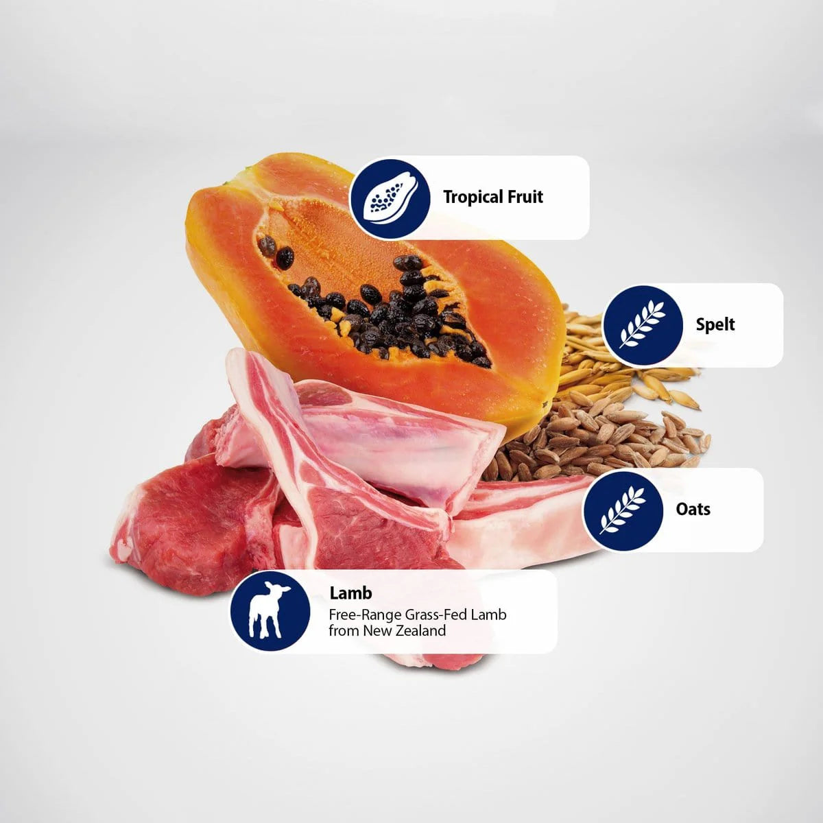 Farmina N&D Tropical Selection Kitten Lamb – Πλήρης Τροφή για Γατάκια με Αρνί & Τροπικά Φρούτα (1.5kg)