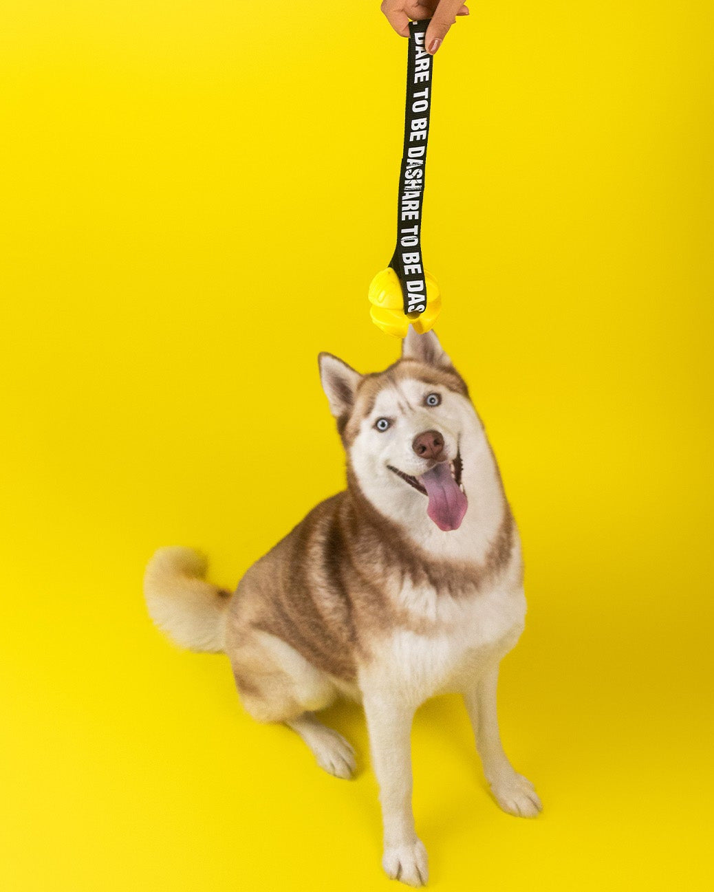 DASHI Yellow TPR Ball με Ιμάντα | Παιχνίδι Σκύλου για Τράβηγμα & Fetch