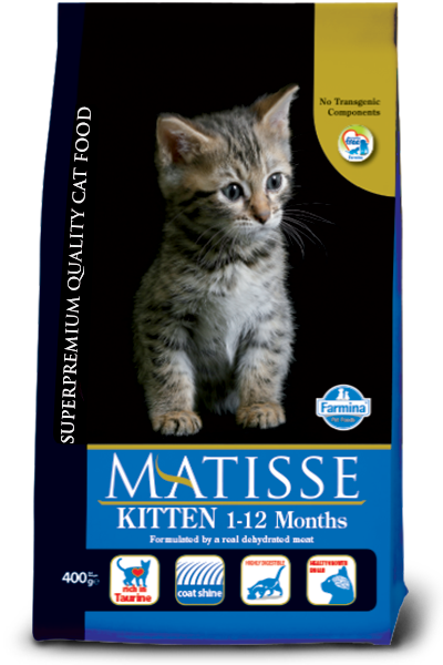 Matisse Kitten 1-12 Months