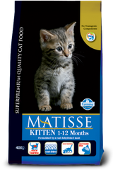 Matisse Kitten 1-12 Months