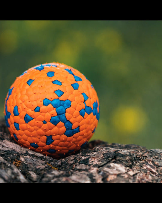 Pet Nova Polyball Extra Strong Μπάλα Σκύλου Πορτοκαλί/Μπλε
