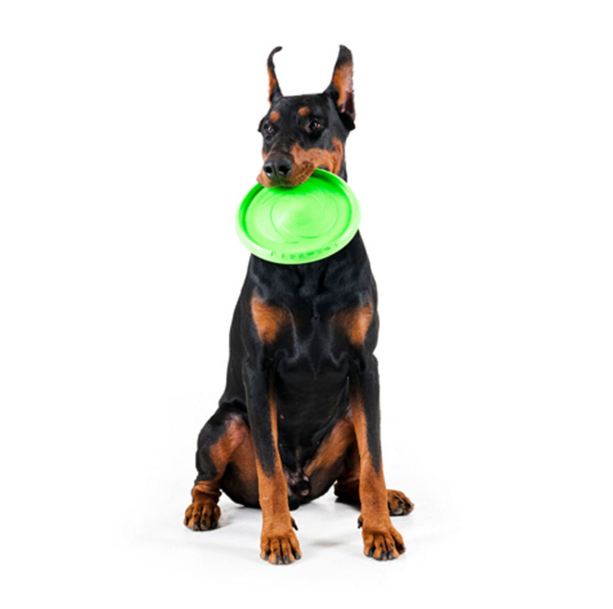 COLLAR Flyber Πράσινος Ιπτάμενος Δίσκος Σκύλου 22cm