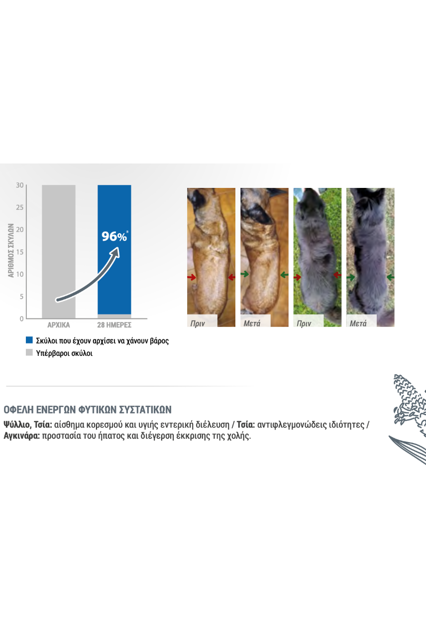 Pro Nutrition Dog Obesite 2kg
